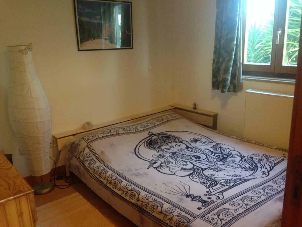 ロジル Quintinha Mojud Bed & Breakfast エクステリア 写真